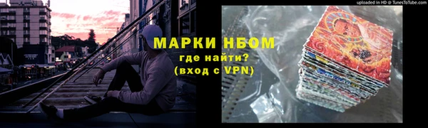 крисы Новозыбков