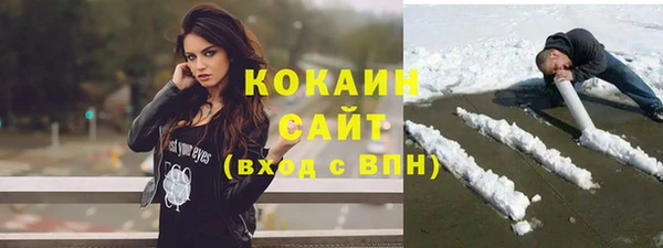 крисы Новозыбков