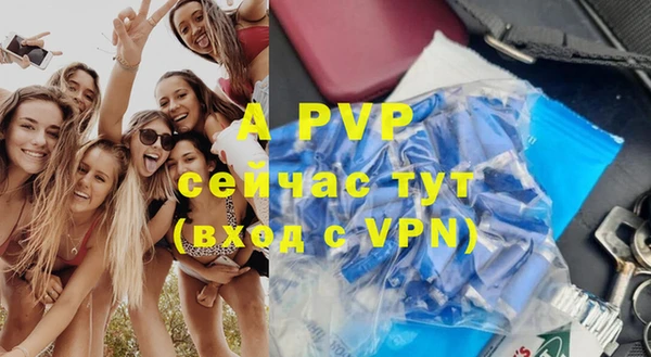 крисы Новозыбков