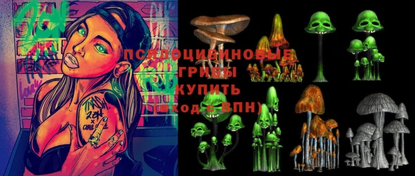 крисы Новозыбков
