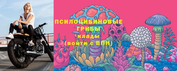 крисы Новозыбков