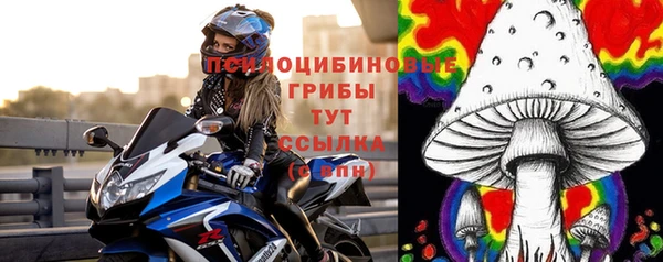 дживик Нефтекумск
