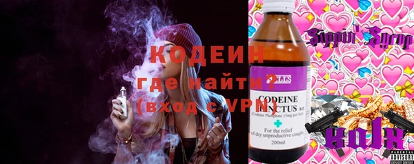 крисы Новозыбков
