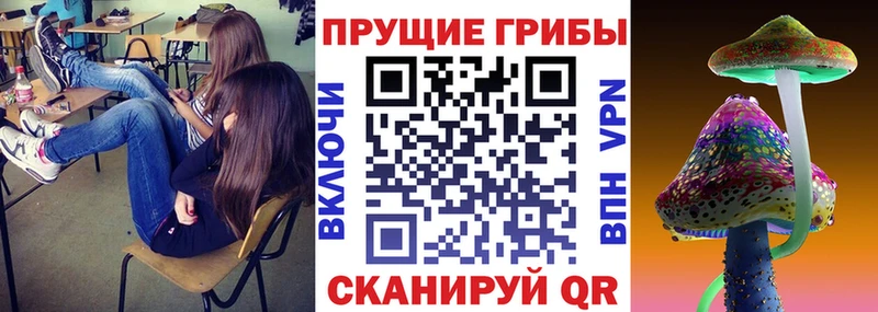 Псилоцибиновые грибы Cubensis  блэк спрут как войти  Балабаново  наркошоп 