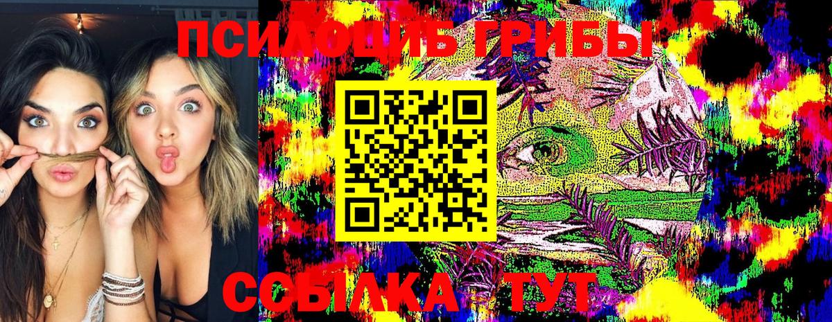 Псилоцибиновые грибы Psilocybine cubensis  Балабаново  Псилоцибиновые грибы мухоморы 